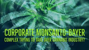 Corporate Monsanto Bayer Complex Trying To Take Over The Cannabis Industry?