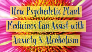 Tricia Eastman Explains How Psychedelic Plant Medicines Can Assist with Anxiety & Alcoholism