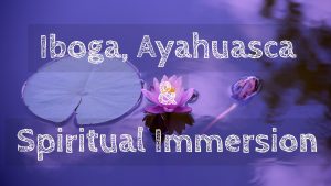 Iboga, Ayahuasca & Spiritual Immersion with Shaman & Healer Tricia Eastman